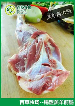 百草牧場 羔羊帶骨前腿